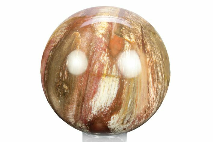 Colorful Petrified Wood (Araucaria) Sphere - Madagascar #245546